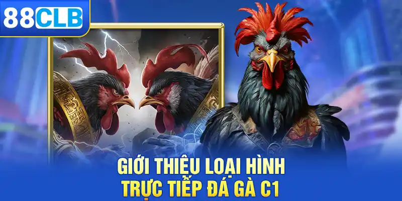 Giới thiệu hình thức trực tiếp đá gà C1