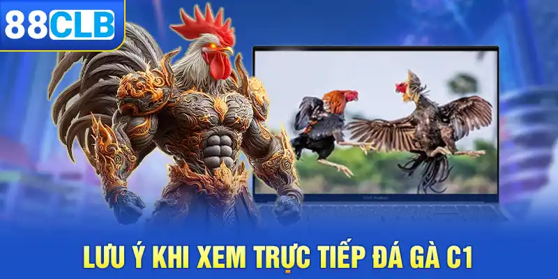 Lưu ý khi xem trực tiếp đá gà C1