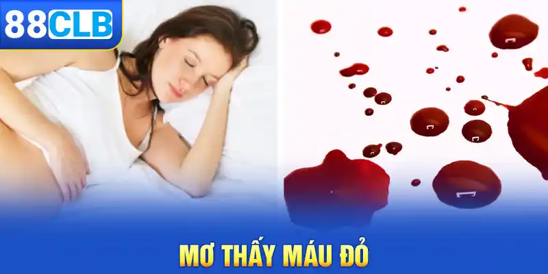 Mơ thấy máu đánh gì? Mơ thấy máu đỏ