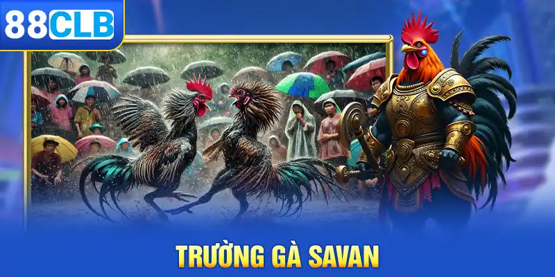 Trường gà Savan